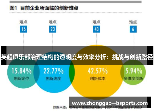 英超俱乐部治理结构的透明度与效率分析：挑战与创新路径