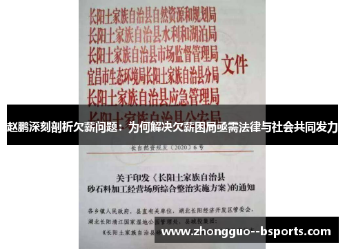 赵鹏深刻剖析欠薪问题：为何解决欠薪困局亟需法律与社会共同发力